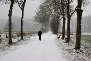 170211-PK-winterlandschap in Heeswijk- 7   Large 